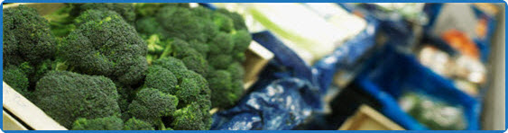 Food Safety Label Solutions