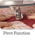 Pivot Function