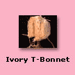 Ivory Netting T-Bonnet