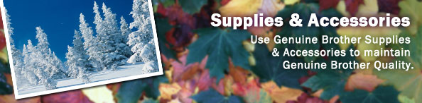 Supplies & Accessories