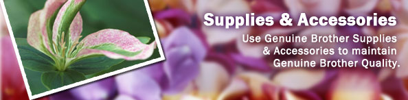 Supplies & Accessories