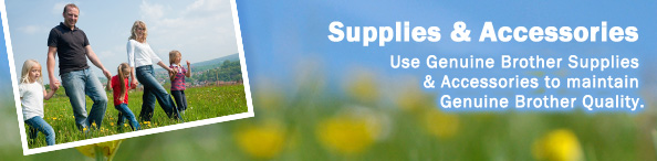 Supplies & Accessories