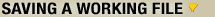 Saving A Working File