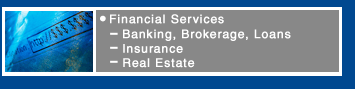 Financial Services