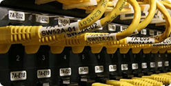 On-demand, preprinting of datacom and electrical labels in strips for wires and cables, patch panels and faceplates, and electrical panels