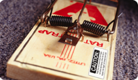 Durable labeling solutions for marking company equipment, chemicals, bait stations, and warnings.