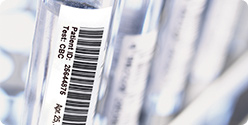 Print durable laminated labels that remain affixed and clearly readable for years
