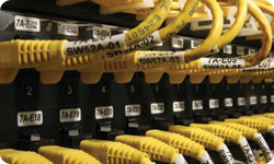 Patch Panel Labeling Solutions