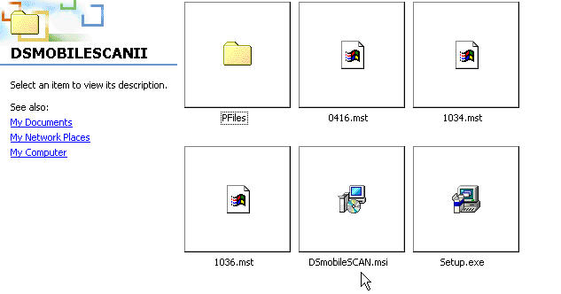 install the DSmobile Scan application 
