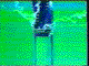 Complete synchronized feed mechanism