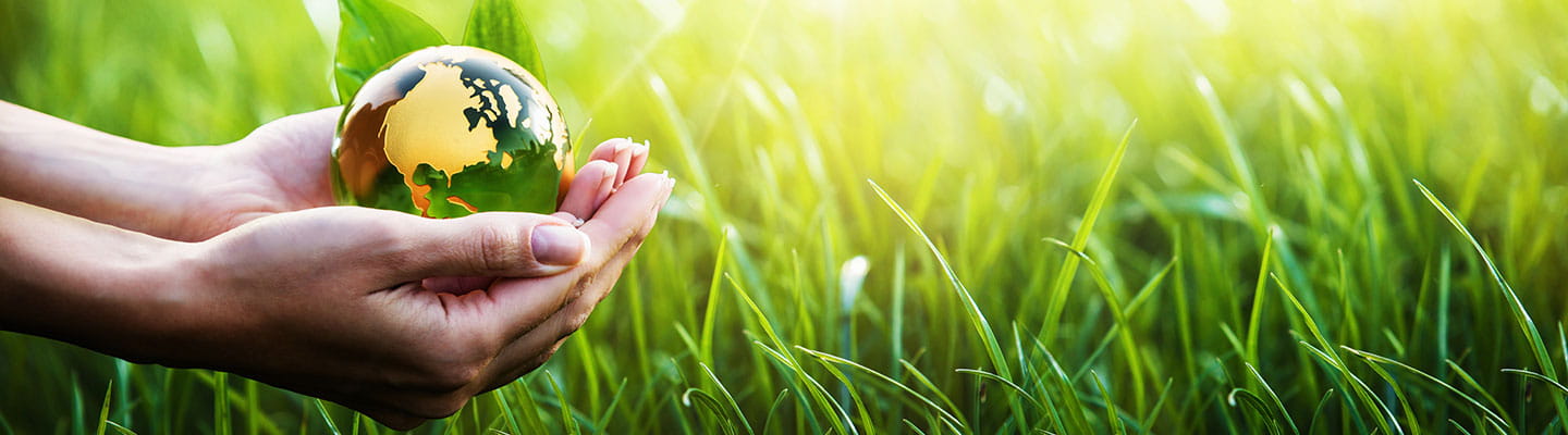 person holding a green earth in front of grass.