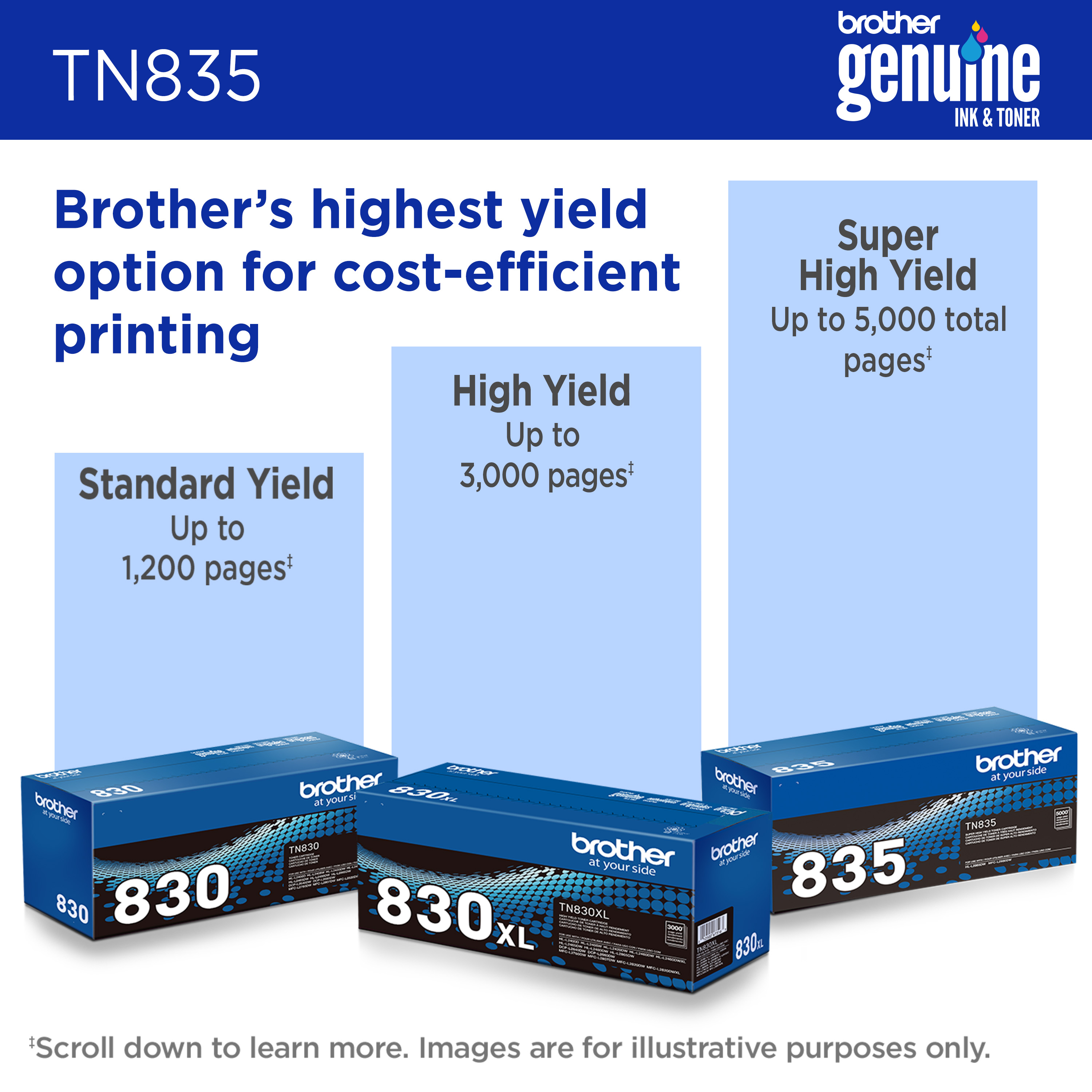 TN835 | By Brother