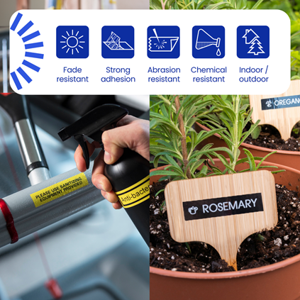 TZE661 | LabelMakersPrinters | By Brother