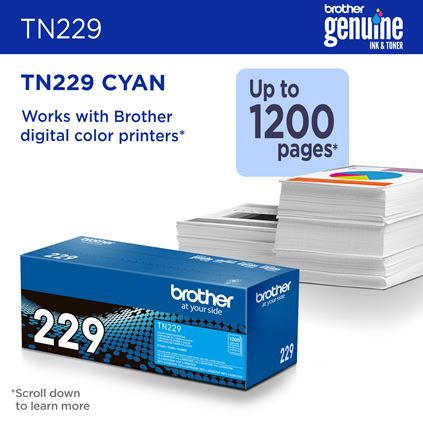 TN229_2c