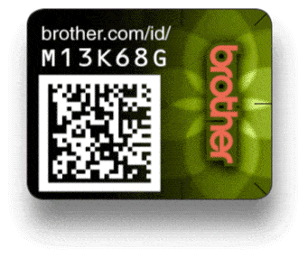 Security Labeling - Ink and Toner - Brother