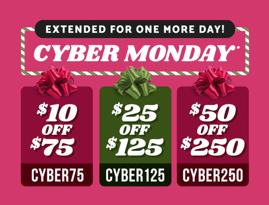 Cyber Monday 2023 extended promo