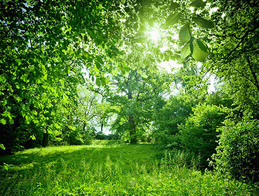 Environmental Programs | Product Recycling | Brother