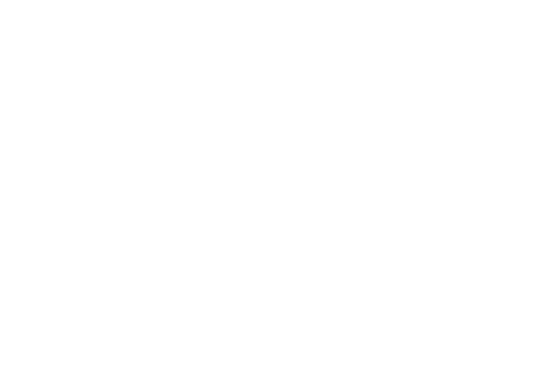 Disney logo in white