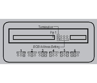 SCSI Jumpers label