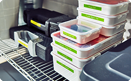 Organized garage storage