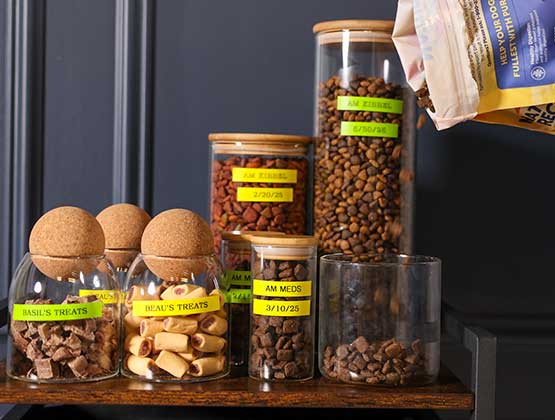 Pet treat and food containers on a counter with yellow and green Ptouch Btag labels. 