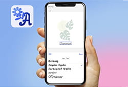 Picture of a phone with the app Artspira open, the mobile application that works perfectly for Skitch