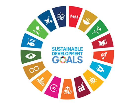 Sustainable Development Goals chart