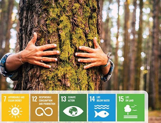 Person hugging a tree