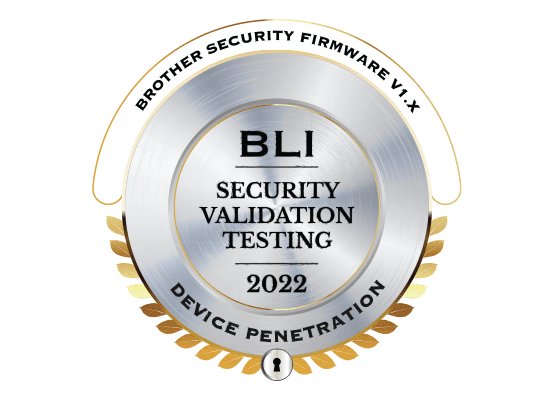 2022 BLI Security Validation Testing logo