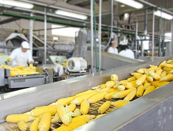 Food Processing Gear Motors