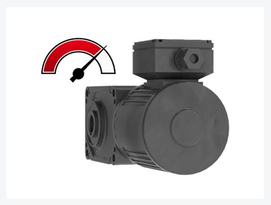IPM Gearmotors