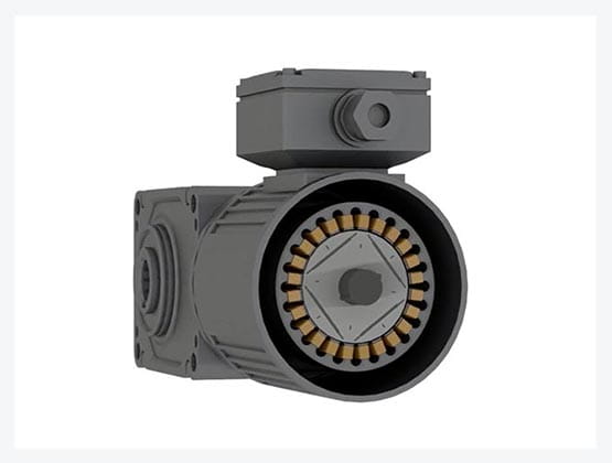 IPM Gearmotors