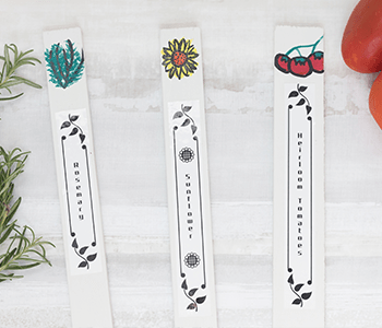 Garden plant labels