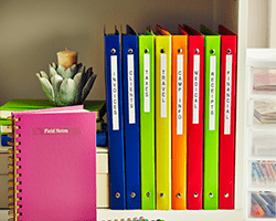 organization